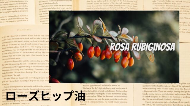 ローズヒップ油のアロマハーブ事典(辞典)用アイキャッチ＠botanical-study