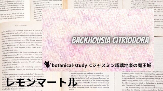 レモンマートルのアロマハーブ事典(辞典)用アイキャッチ＠botanical-study