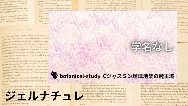 ジェルナチュレのアロマハーブ事典(辞典)用アイキャッチ＠botanical-study