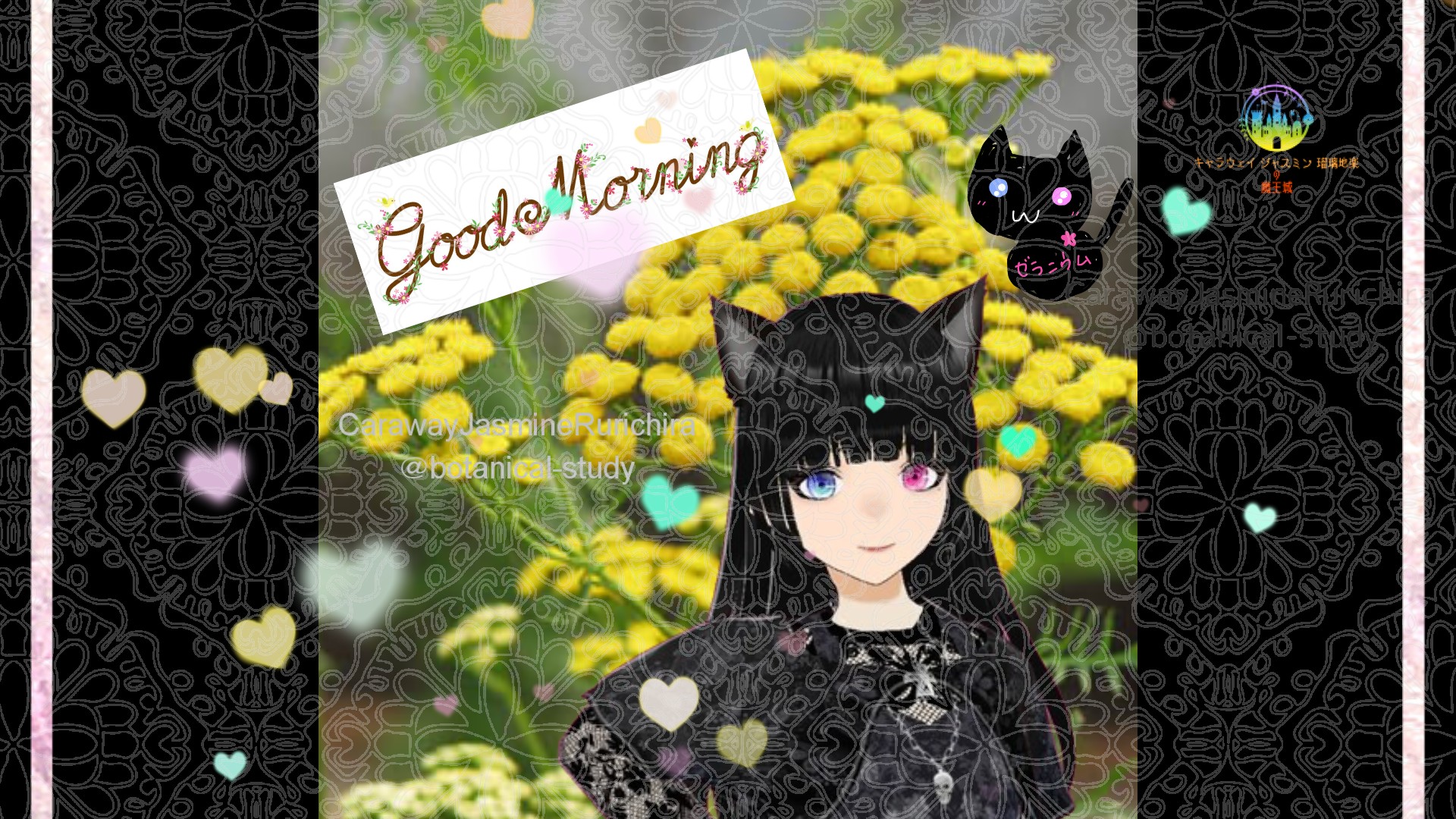 「タンジー」とCジャスミン瑠璃地楽の今日の誕生花B-11月7日＠botanical-study