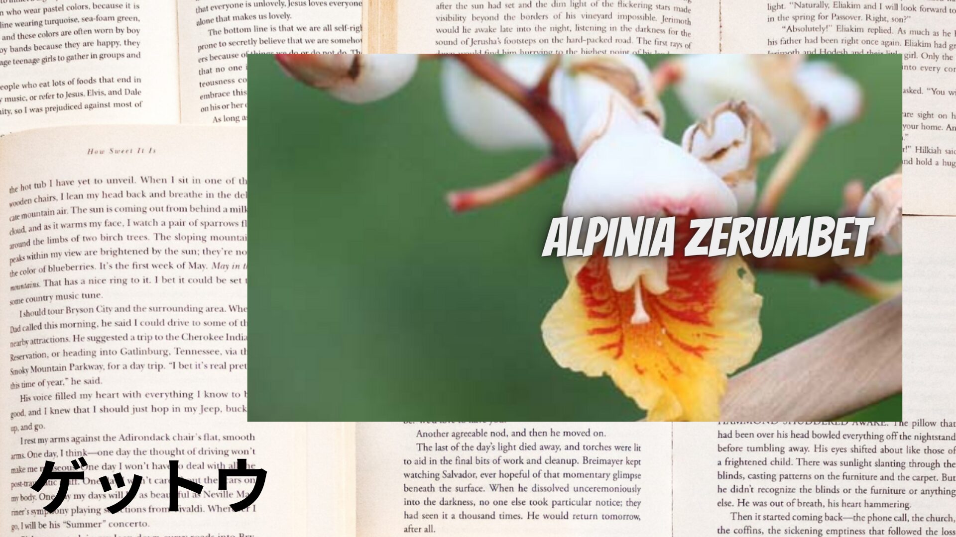 gettou-aroma-herb-dictionary-eyecatch-botanical-study