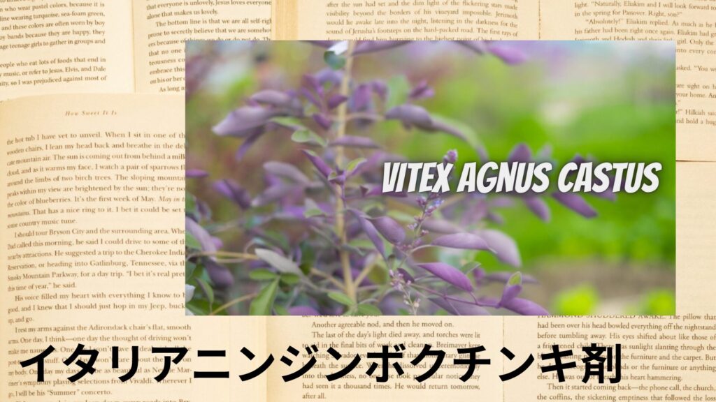 vitex-tincture-aroma-herb-dictionary-eyecatch-botanical-study