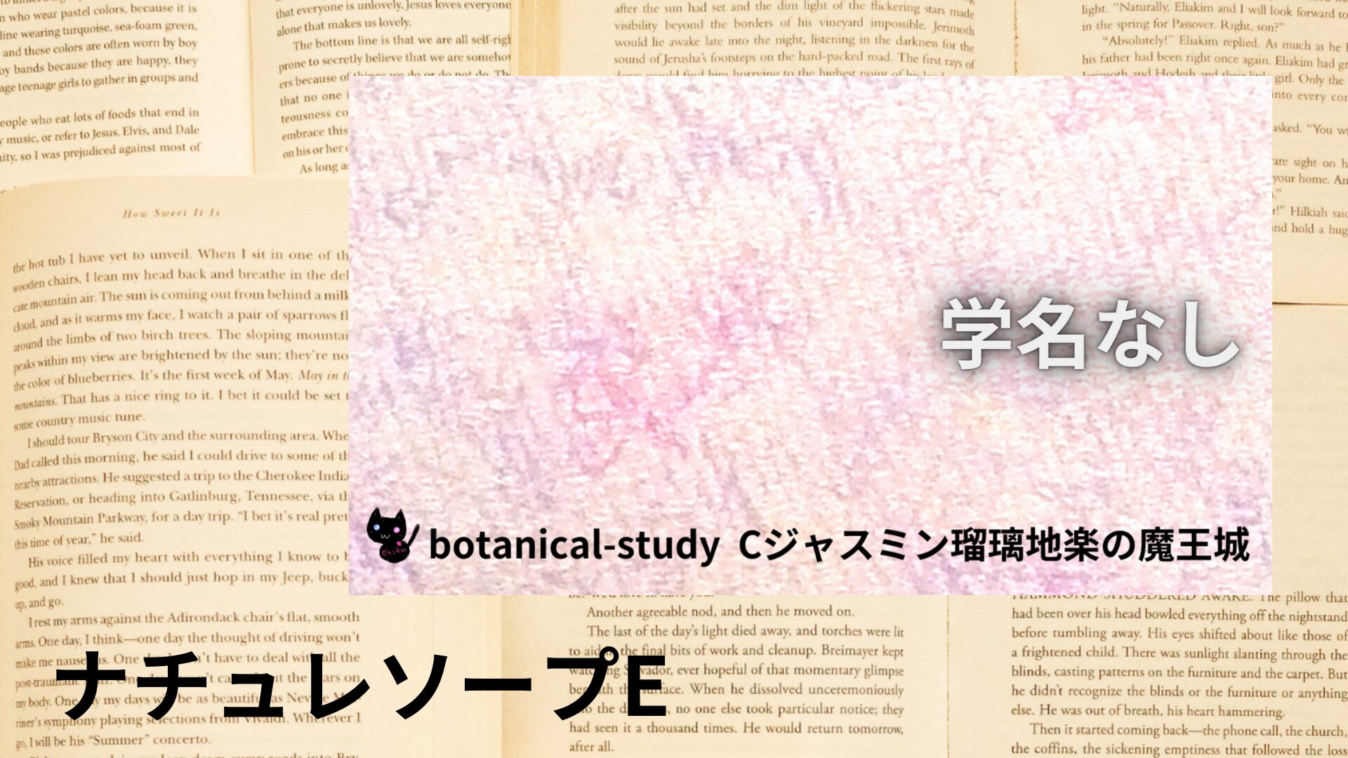 nature-soap-e-aroma-herb-dictionary-eyecatch-botanical-study