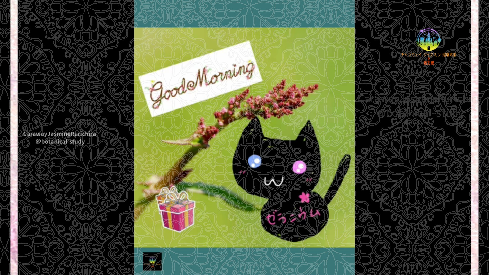 「ソバ」12月1日Rゼラニウム瑠璃地楽と今日の誕生花とおはようメッセージ＠botanical-study