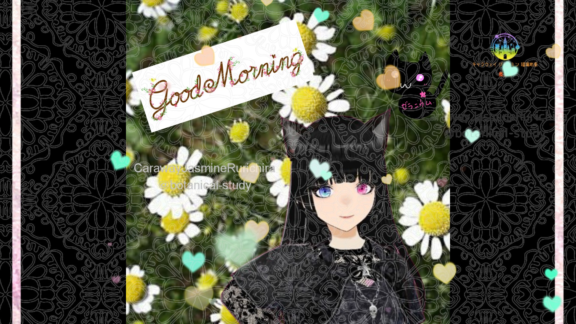 「カモミール」とCジャスミン瑠璃地楽の今日の誕生花B-11月3日＠botanical-study