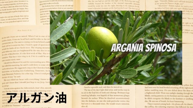 アルガン油のアロマハーブ事典(辞典)用アイキャッチ＠botanical-study