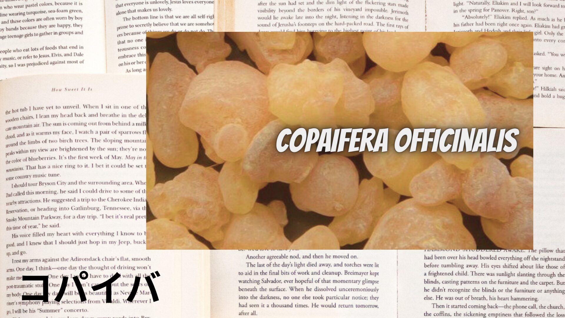 copaiba-aroma-herb-dictionary-eyecatch-botanical-study