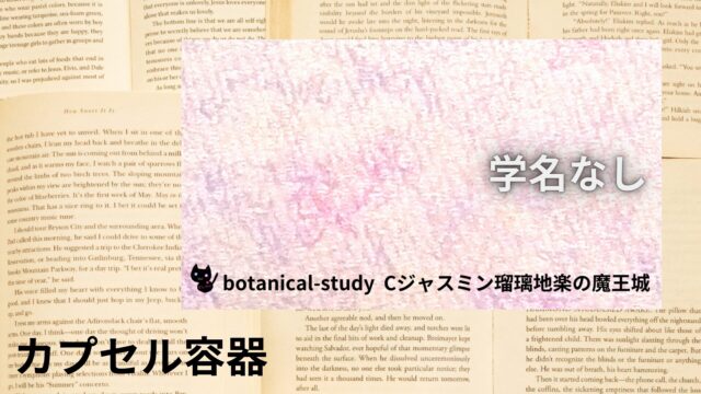 カプセル容器のアロマハーブ事典(辞典)用アイキャッチ＠botanical-study