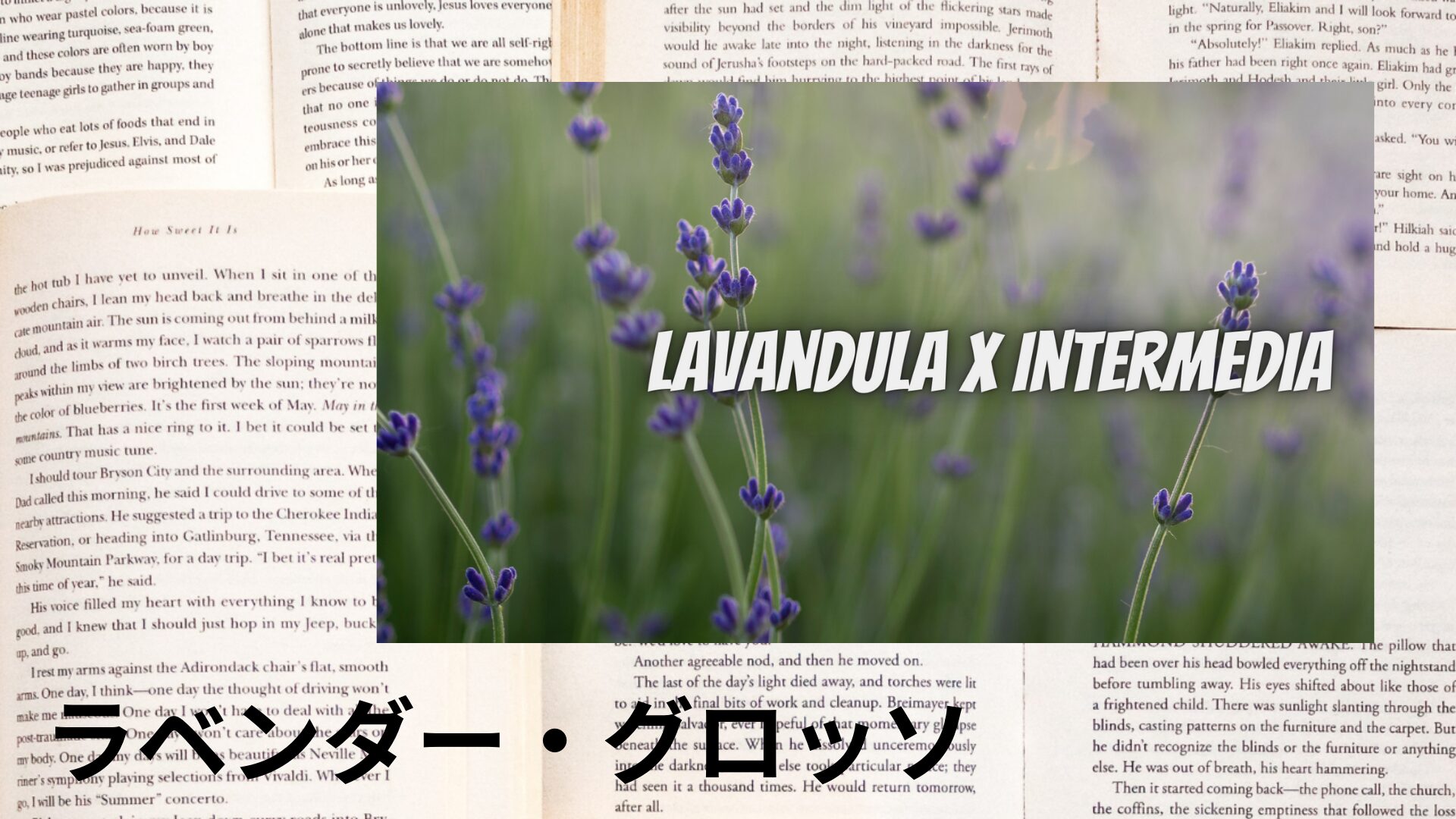 lavender-grosso-aroma-herb-dictionary-eyecatch-botanical-study
