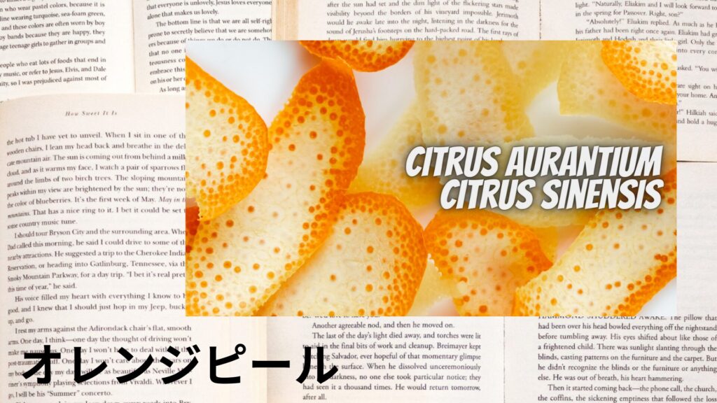 orange-peel-aroma-herb-dictionary-eyecatch-botanical-study