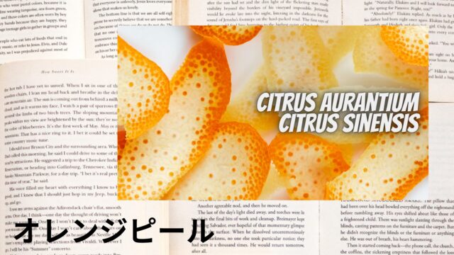 オレンジピールのアロマハーブ事典(辞典)用アイキャッチ＠botanical-study