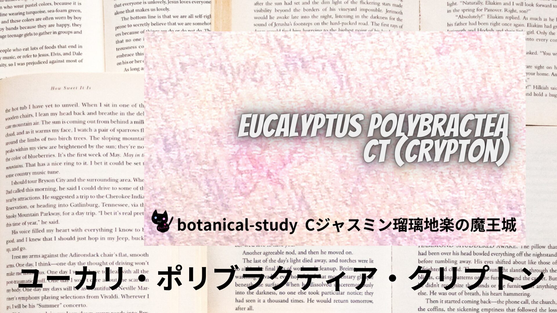 eucalyptus-polybractea-cryptone-aroma-herb-dictionary-eyecatch-botanical-study