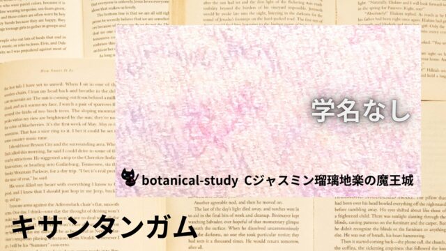 キサンタンガムのアロマハーブ事典(辞典)用アイキャッチ＠botanical-study