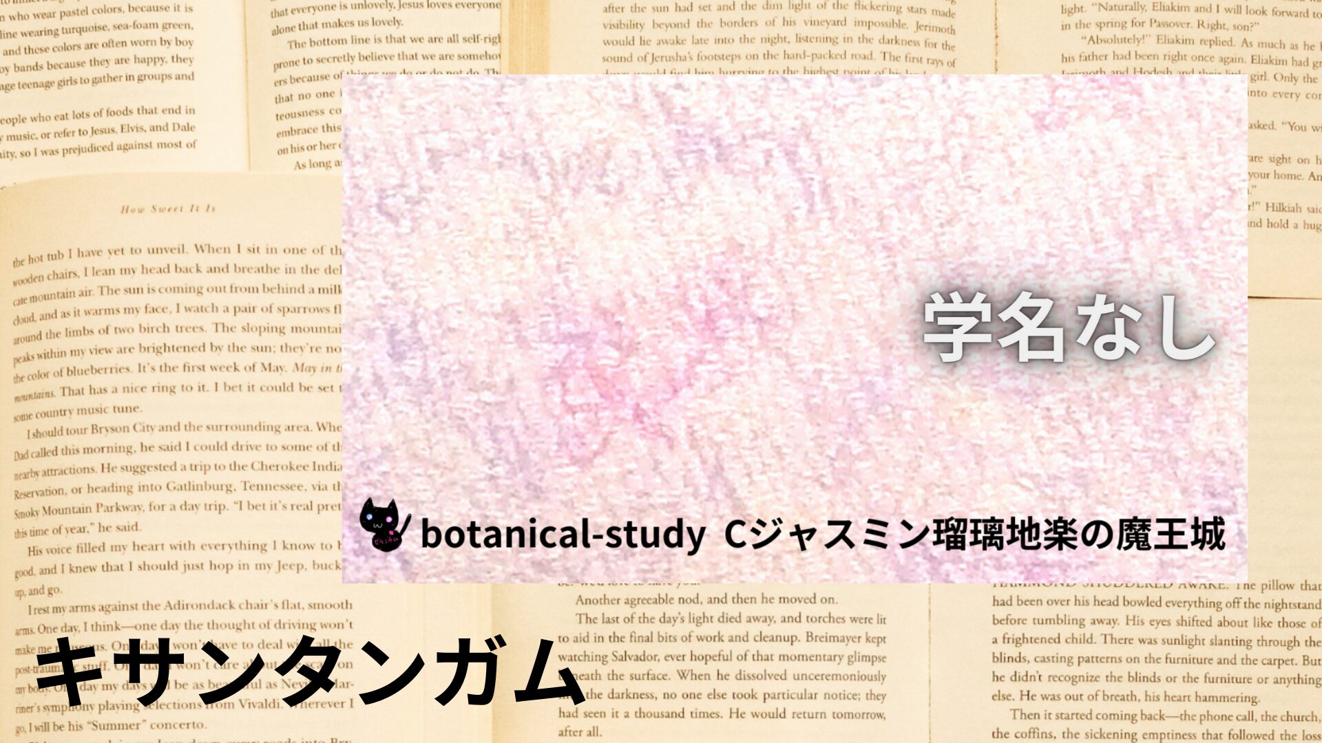 xanthan-gum-aroma-herb-dictionary-eyecatch-botanical-study