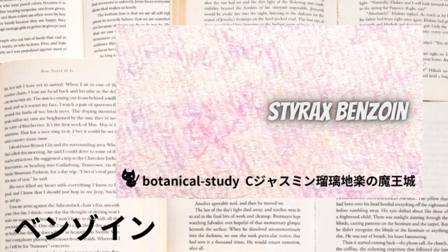 ベンゾインのアロマハーブ事典(辞典)用アイキャッチ＠botanical-study