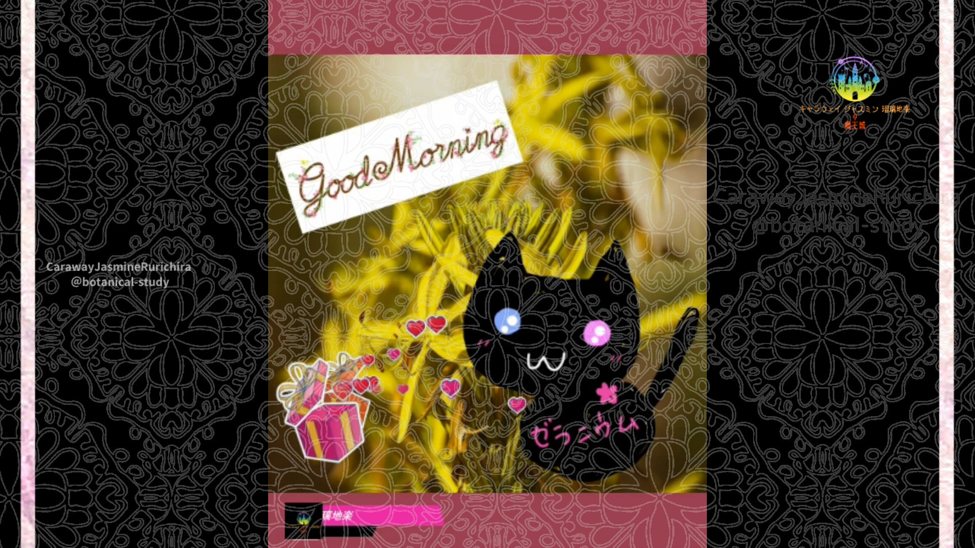 「アスフォデリネ」11月6日Rゼラニウム瑠璃地楽と今日の誕生花とおはようメッセージ＠botanical-study