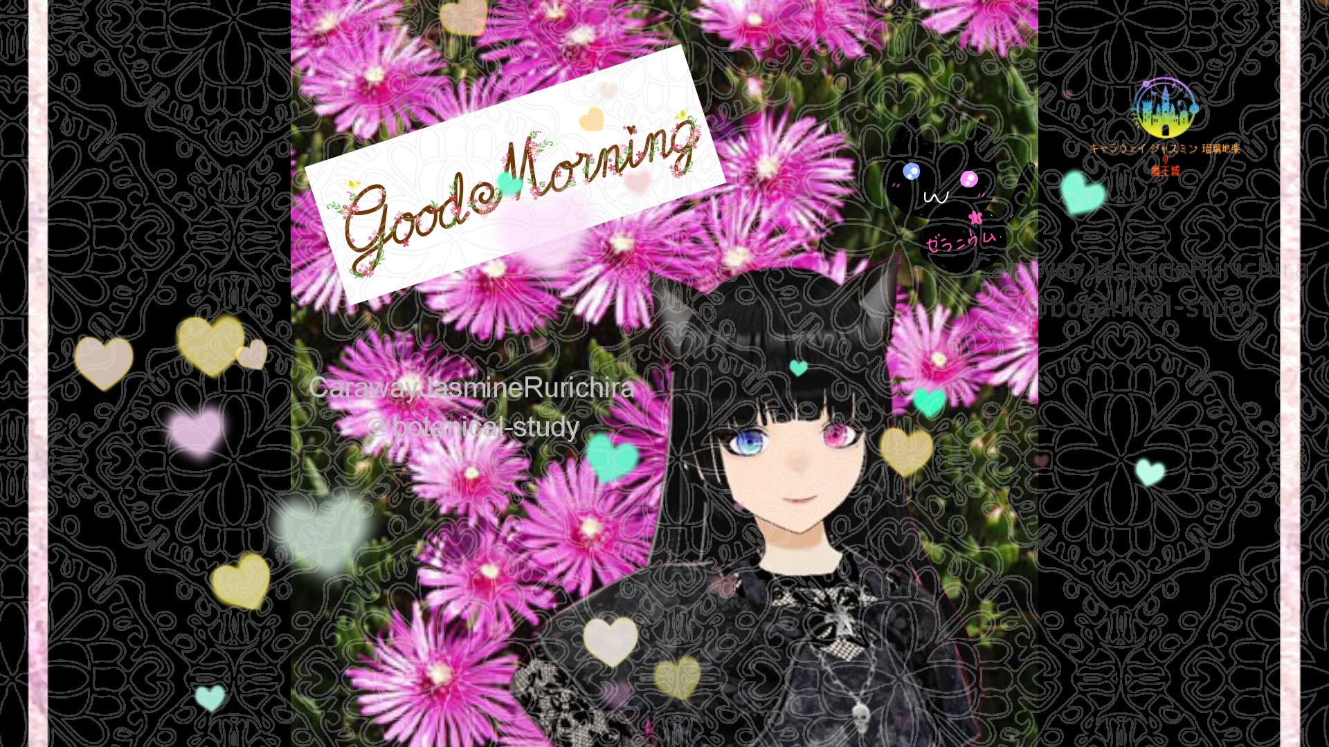 「マツバギク」とCジャスミン瑠璃地楽の今日の誕生花B-11月5日＠botanical-study