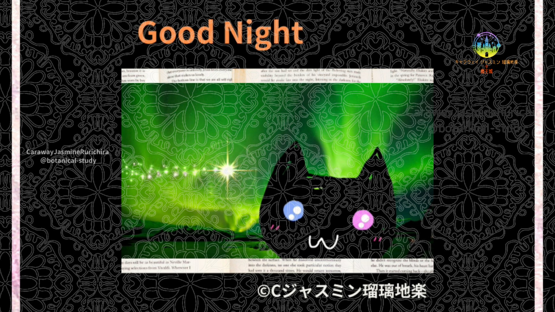 おやすみOR1 011＠botanical-study