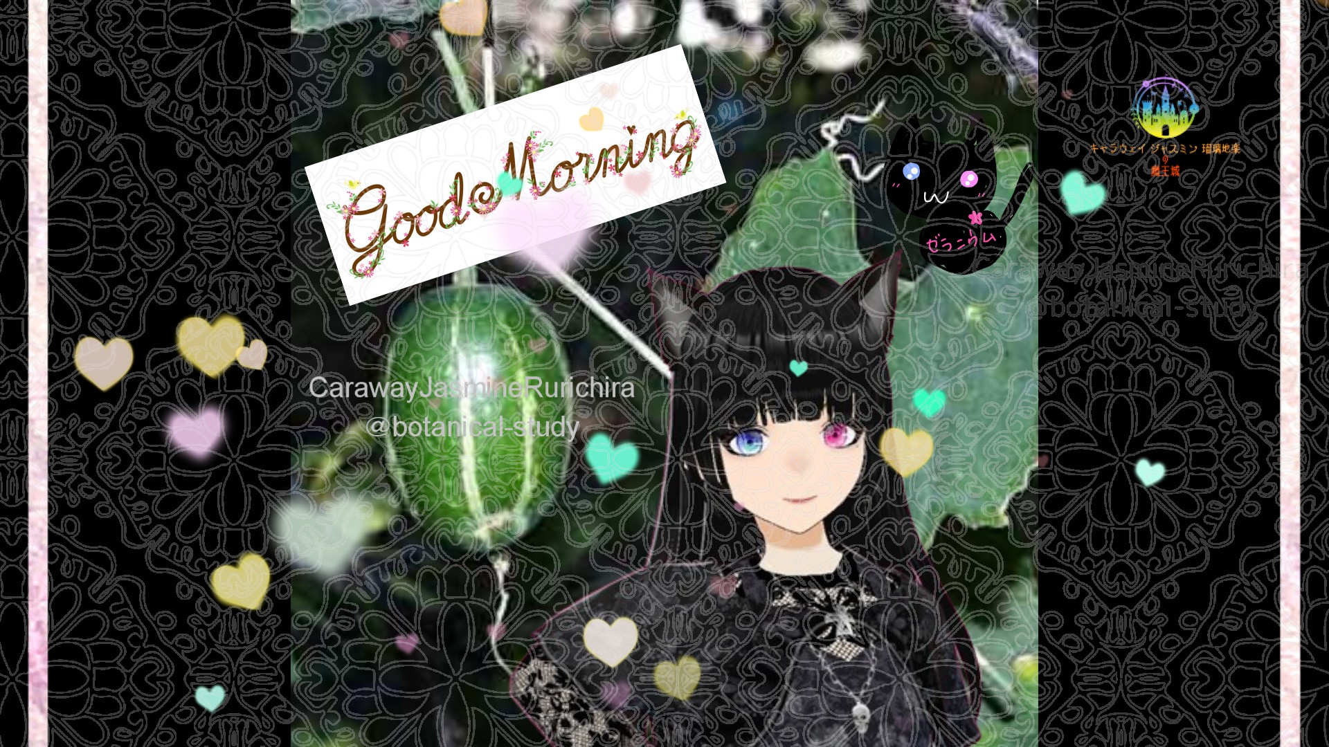 「カラスウリ」とCジャスミン瑠璃地楽の今日の誕生花B-11月11日＠botanical-study