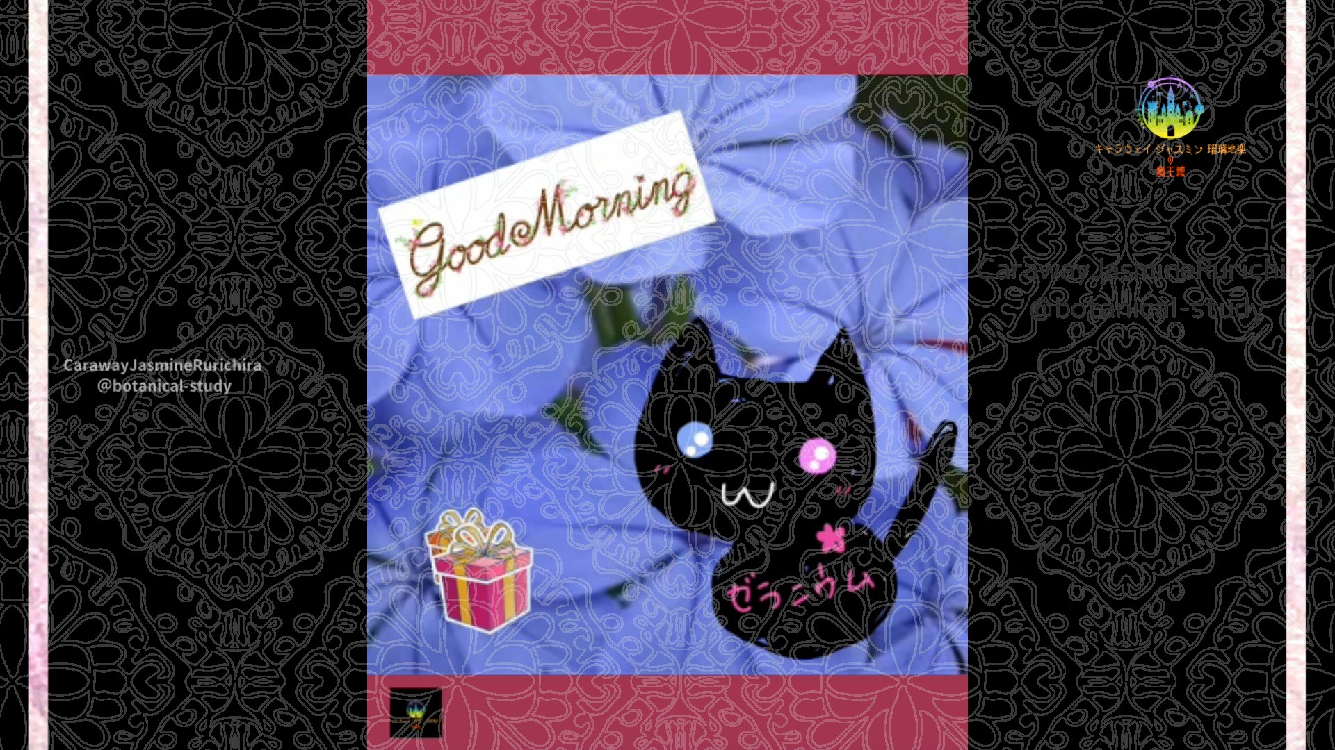 「ルリマツリ」11月9日Rゼラニウム瑠璃地楽と今日の誕生花とおはようメッセージ＠botanical-study