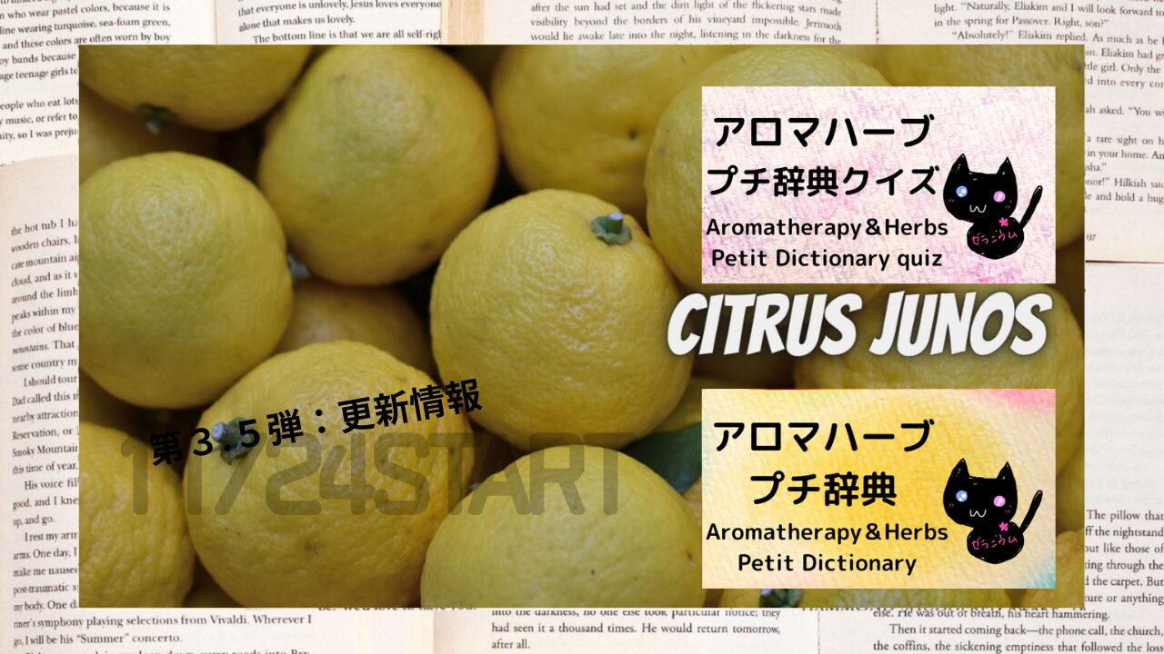 ☆第３.５弾：更新情報『アロマハーブプチ辞典クイズ』『アロマハーブプチ辞典』