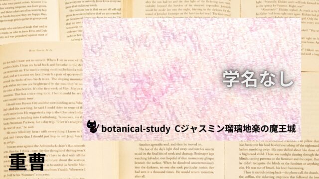 重曹のアロマハーブ事典(辞典)用アイキャッチ＠botanical-study