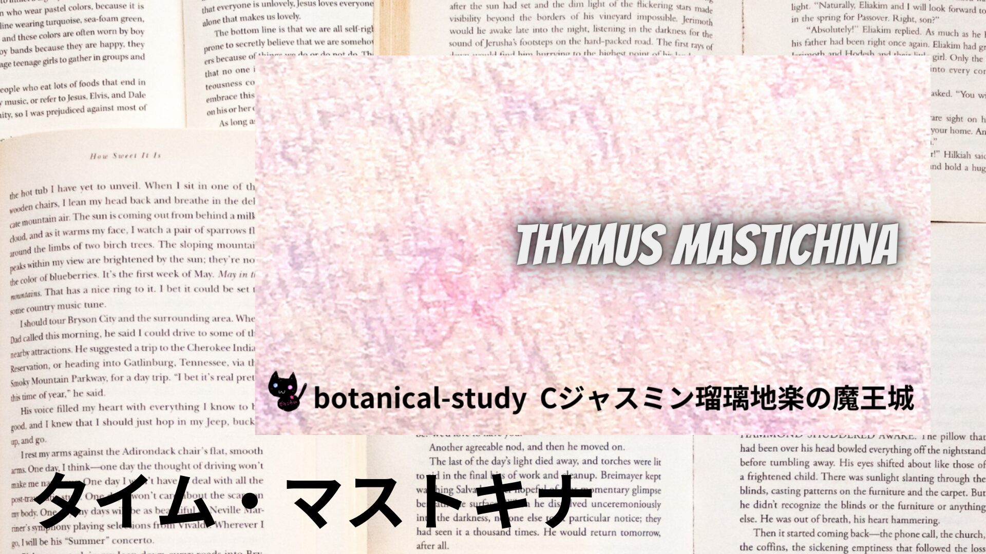 thyme-mastichina-aroma-herb-dictionary-eyecatch-botanical-study