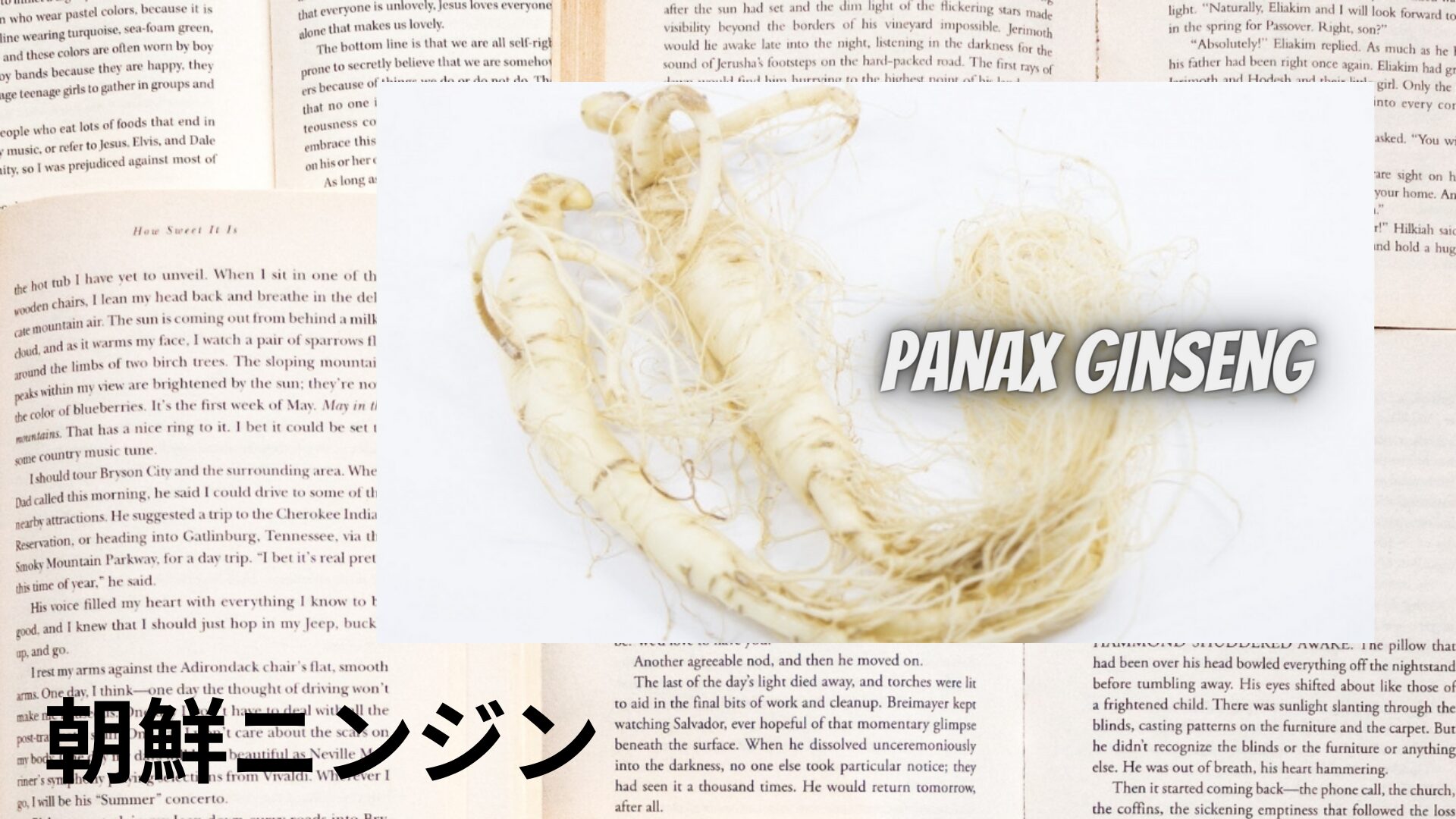 korean-ginseng-aroma-herb-dictionary-eyecatch-botanical-study