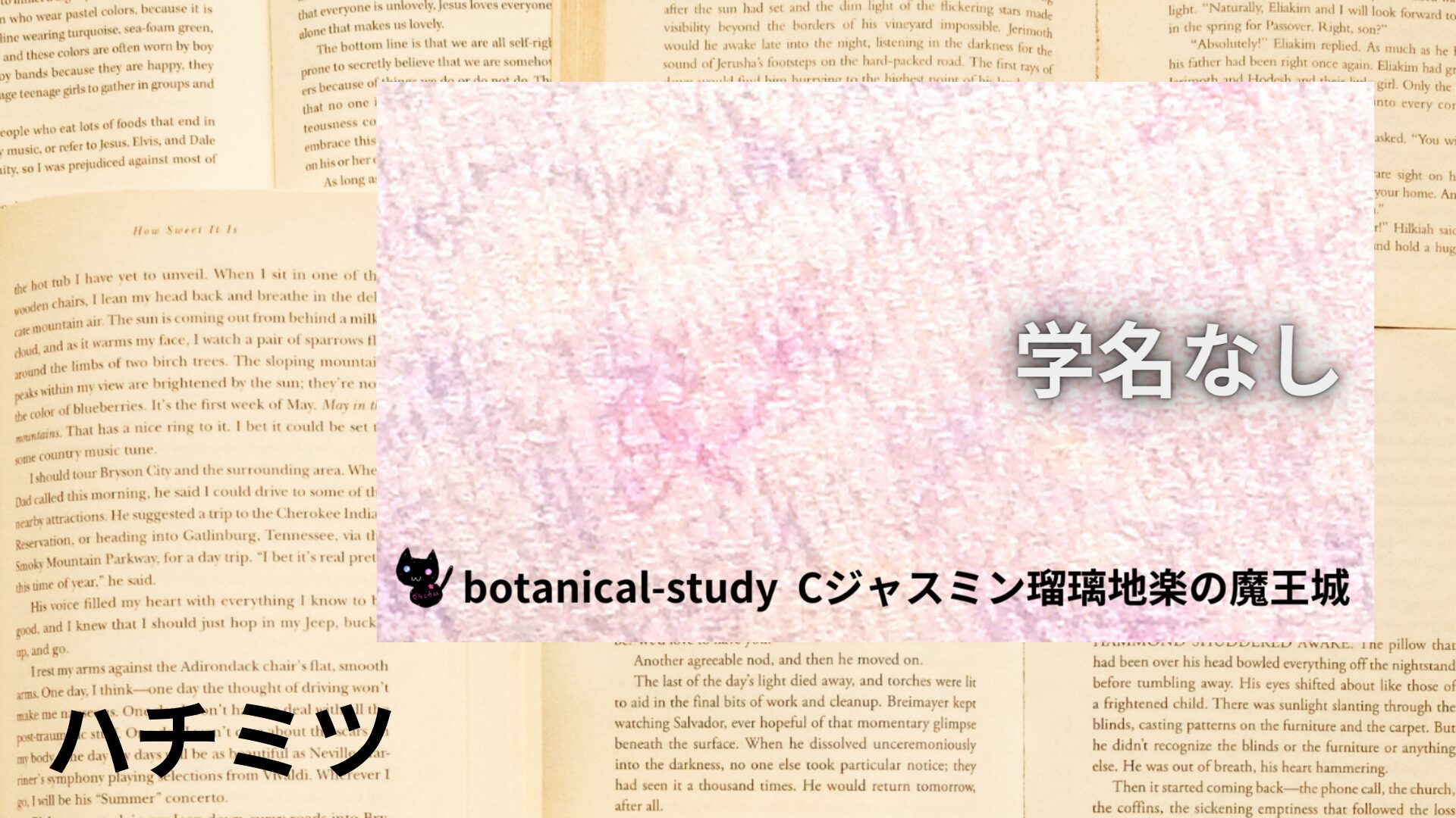 honey-aroma-herb-dictionary-eyecatch-botanical-study
