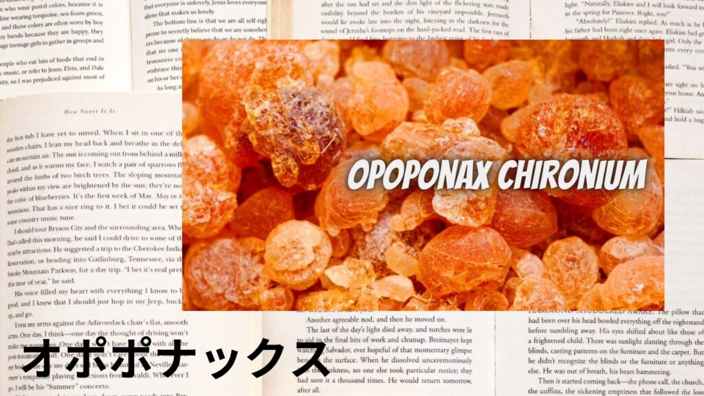 opoponax-aroma-herb-dictionary-eyecatch-botanical-study