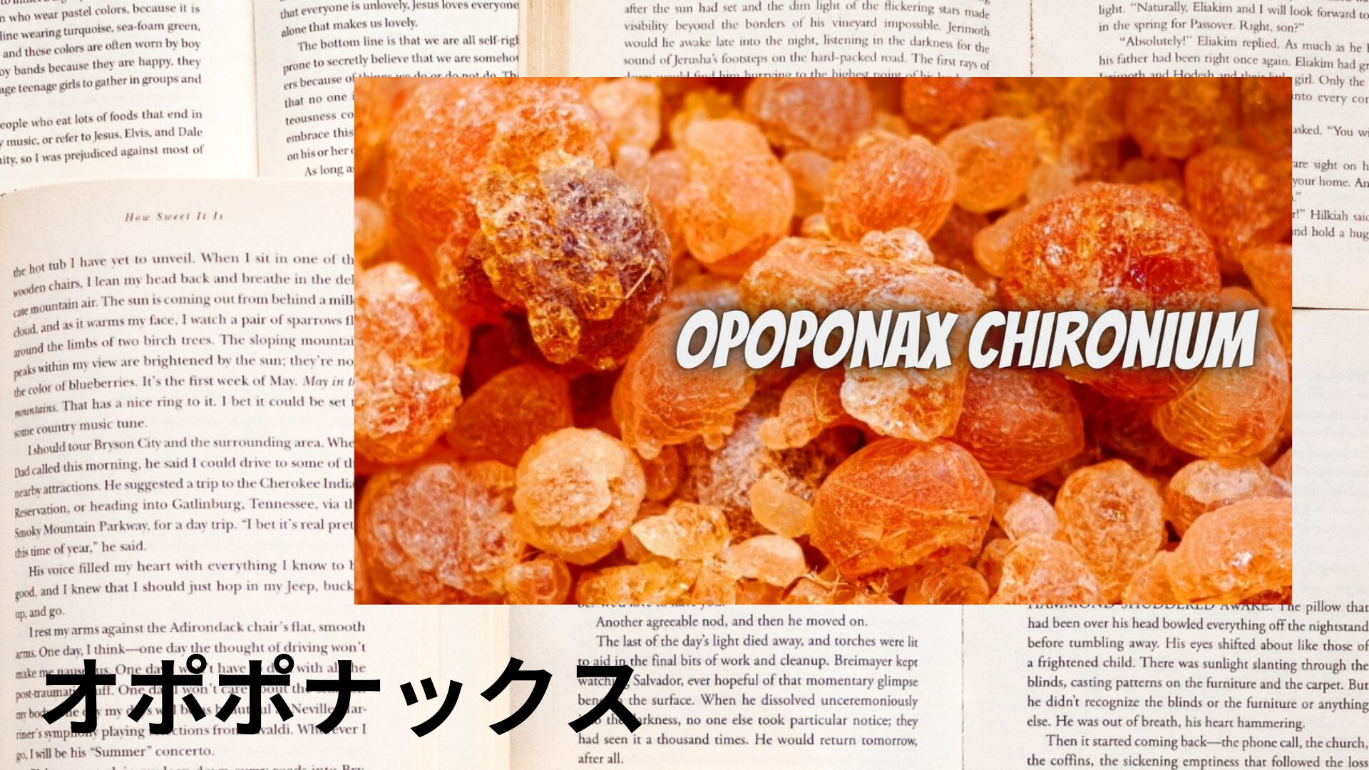 opoponax-aroma-herb-dictionary-eyecatch-botanical-study
