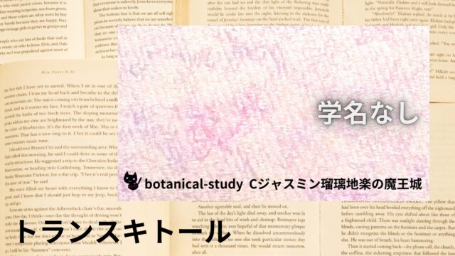 トランスキトールのアロマハーブ事典(辞典)用アイキャッチ＠botanical-study