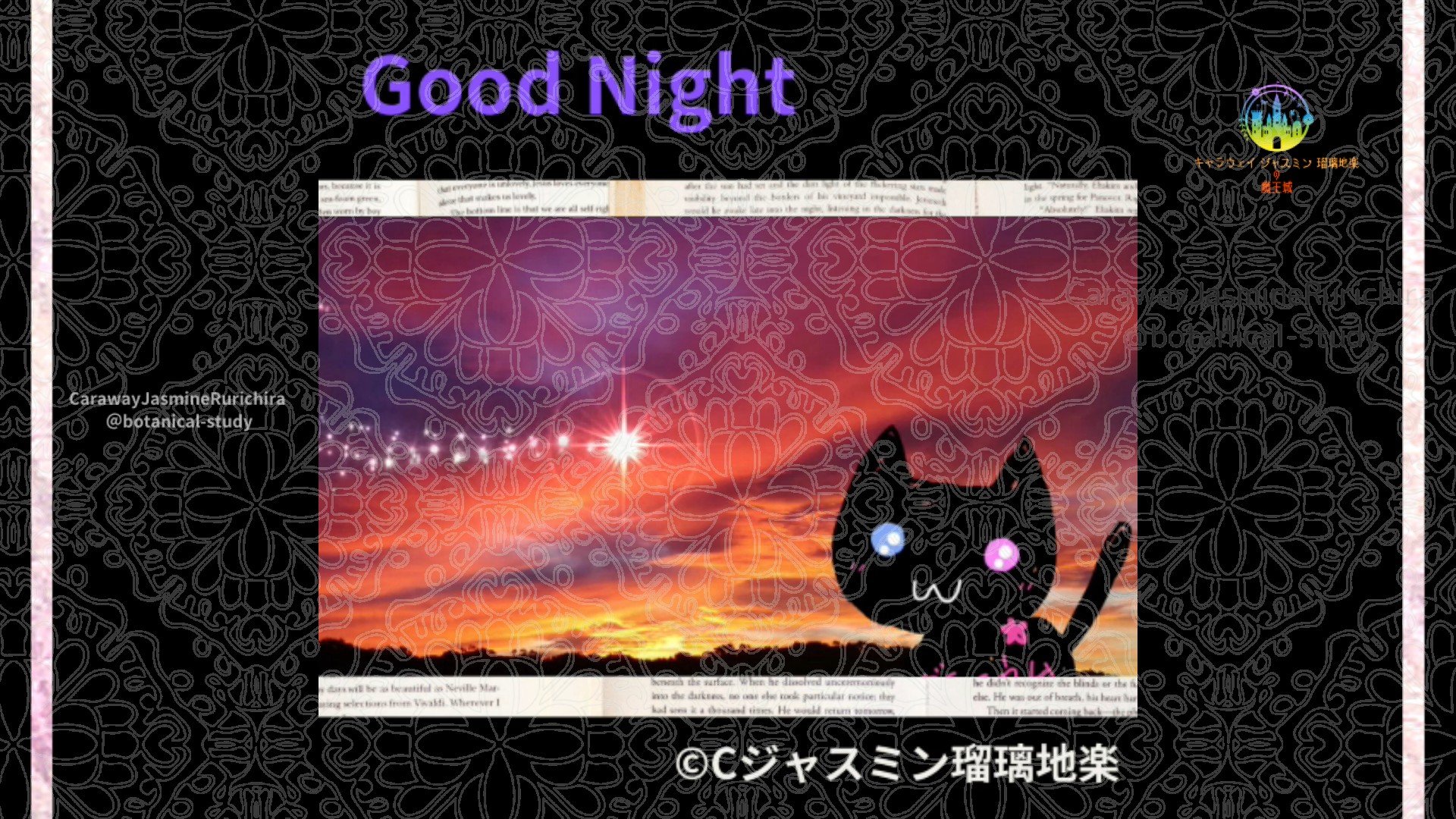 おやすみPU1 016＠botanical-study