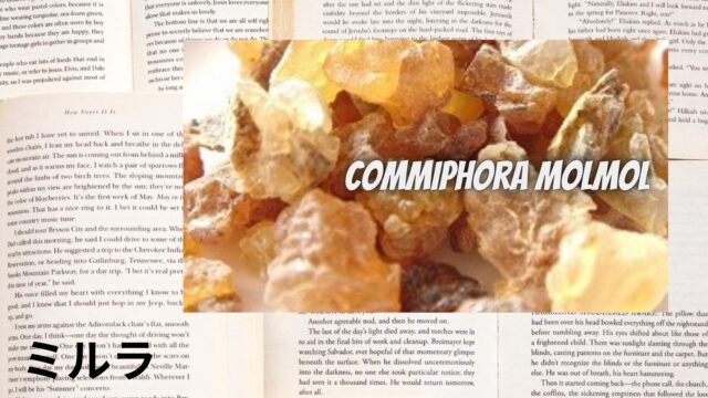 ミルラのアロマハーブ事典(辞典)用アイキャッチ＠botanical-study