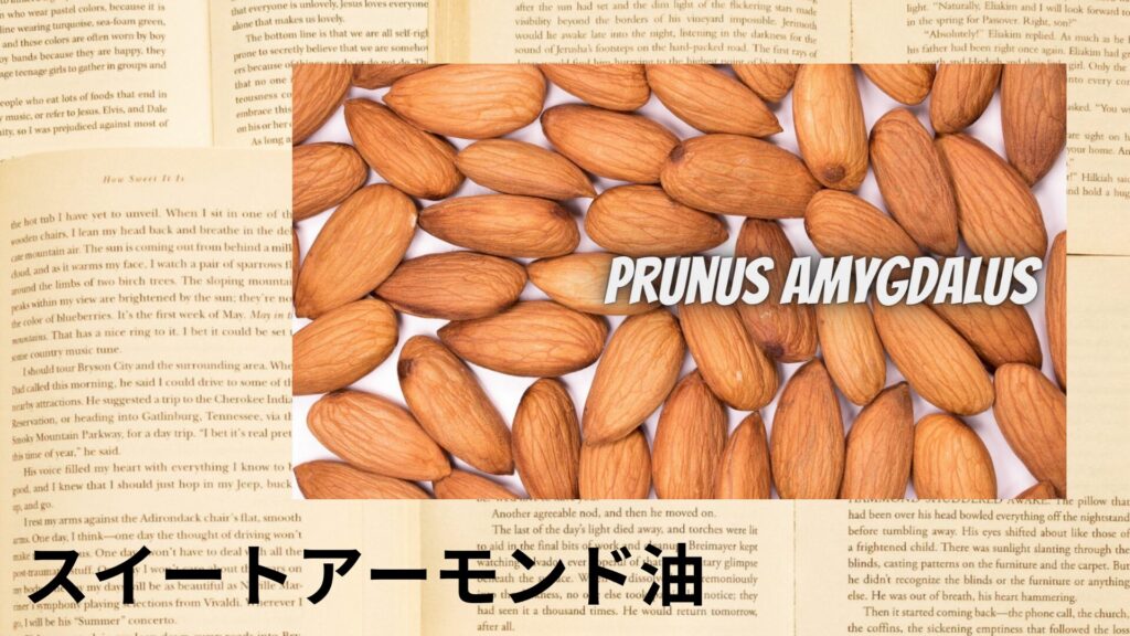 sweet-almond-oil-aroma-herb-dictionary-eyecatch-botanical-study