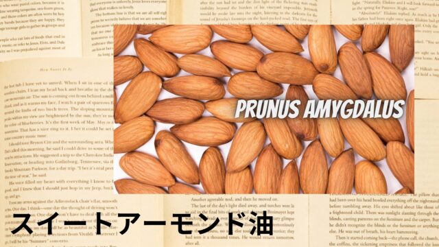 スイートアーモンド油のアロマハーブ事典(辞典)用アイキャッチ＠botanical-study