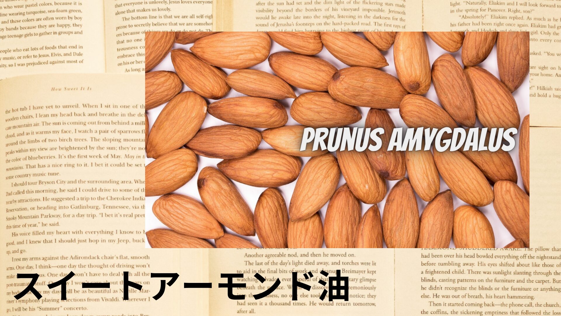 sweet-almond-oil-aroma-herb-dictionary-eyecatch-botanical-study