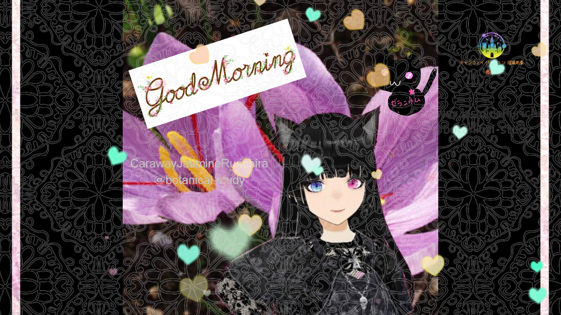 「サフラン」とCジャスミン瑠璃地楽の今日の誕生花B-11月4日＠botanical-study