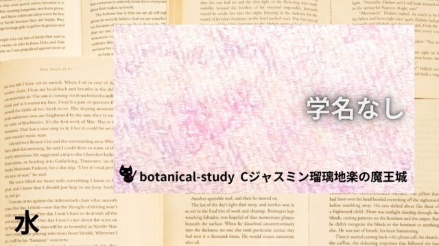 水のアロマハーブ事典(辞典)用アイキャッチ＠botanical-study