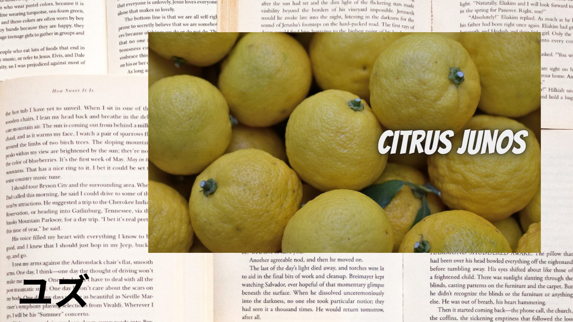 yuzu-aroma-herb-dictionary-eyecatch-botanical-study