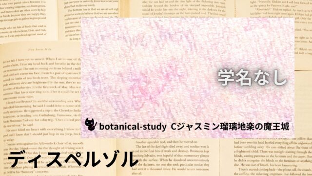 ディスペルゾルのアロマハーブ事典(辞典)用アイキャッチ＠botanical-study
