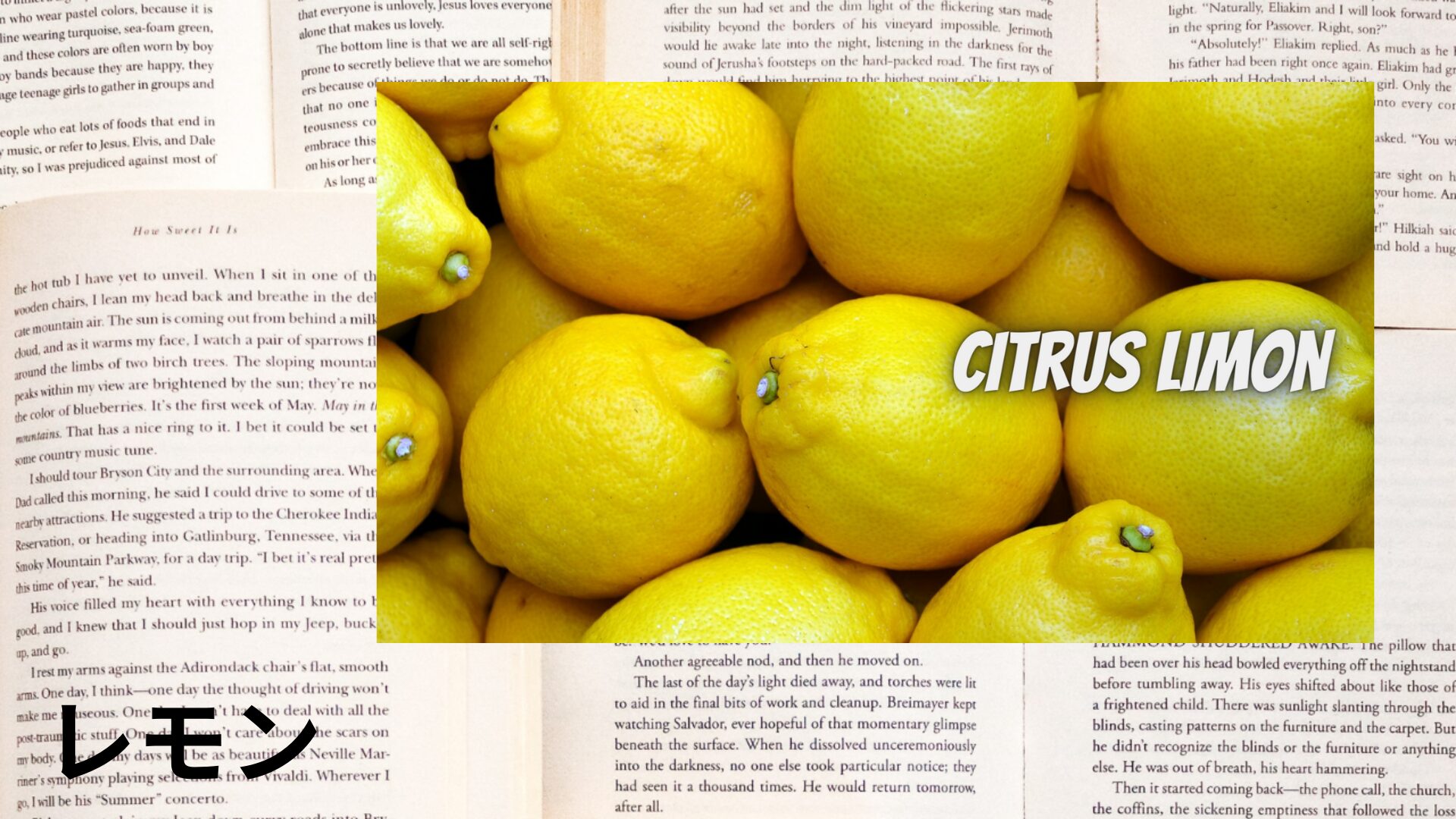 lemon-aroma-herb-dictionary-eyecatch-botanical-study