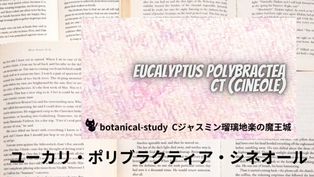 ユーカリ・ポリブラクティア・シネオールのアロマハーブ事典(辞典)用アイキャッチ＠botanical-study
