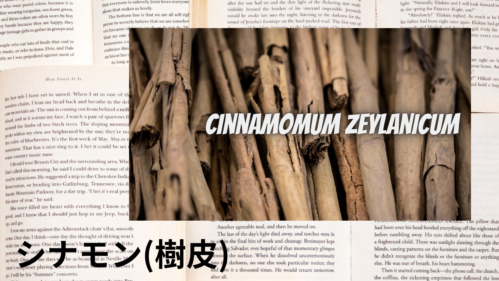cinnamon-bark-aroma-herb-dictionary-eyecatch-botanical-study