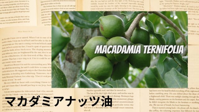マカダミアナッツ油のアロマハーブ事典(辞典)用アイキャッチ＠botanical-study