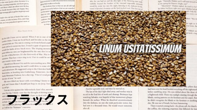 フラックスのアロマハーブ事典(辞典)用アイキャッチ＠botanical-study