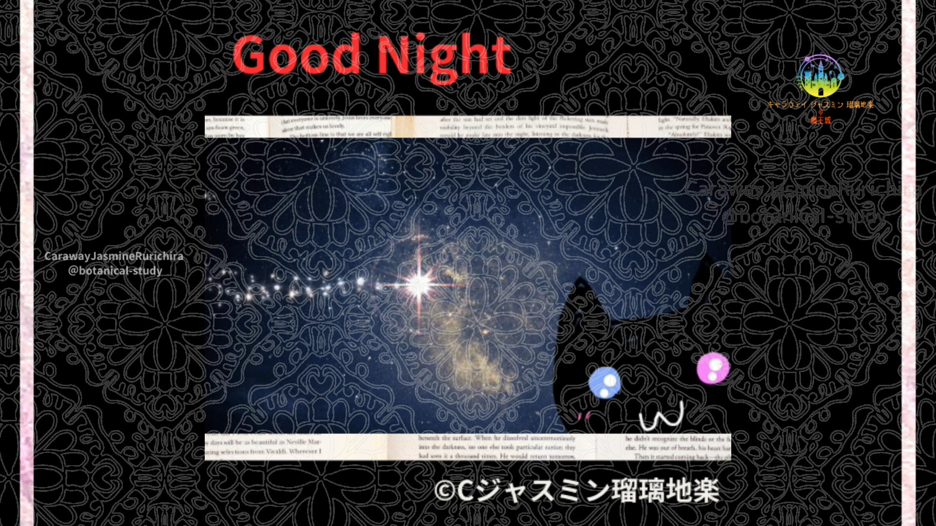 おやすみRD1 010＠botanical-study