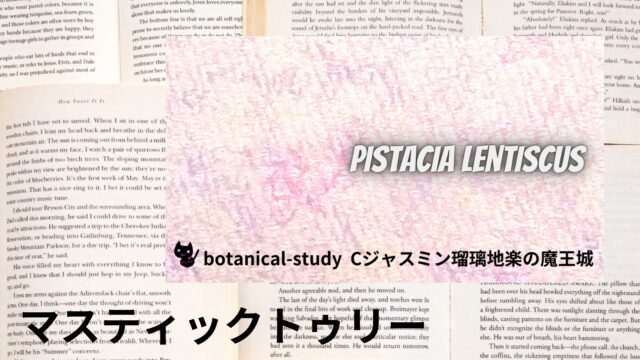 マスティックトゥリーのアロマハーブ事典(辞典)用アイキャッチ＠botanical-study