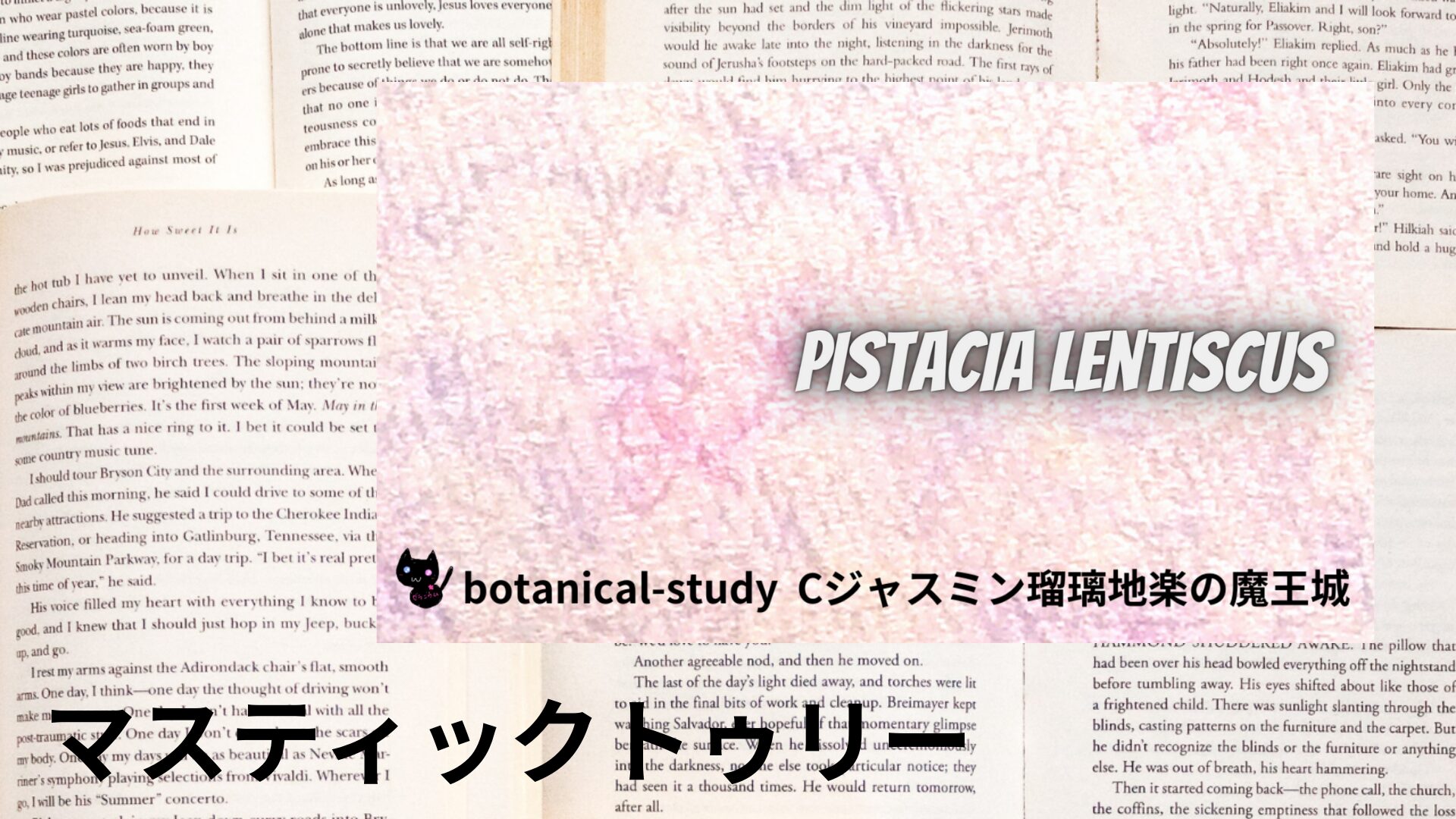 mastic-tree-aroma-herb-dictionary-eyecatch-botanical-study