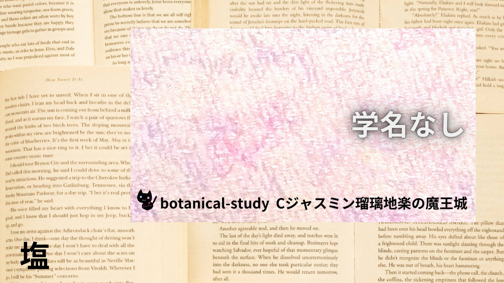 salt-aroma-herb-dictionary-eyecatch-botanical-study